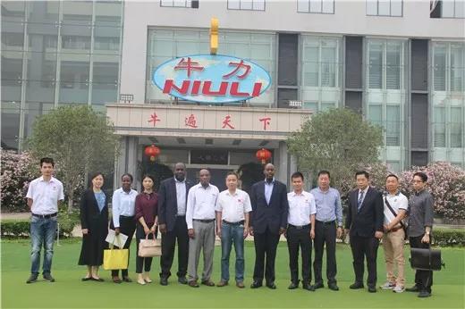 牛力叉車，安徽牛力，合肥牛力